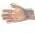 Clear Deli Glove